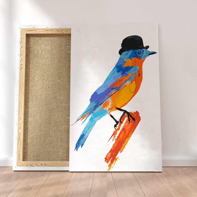 Kit Complet Seigneur Oiseau